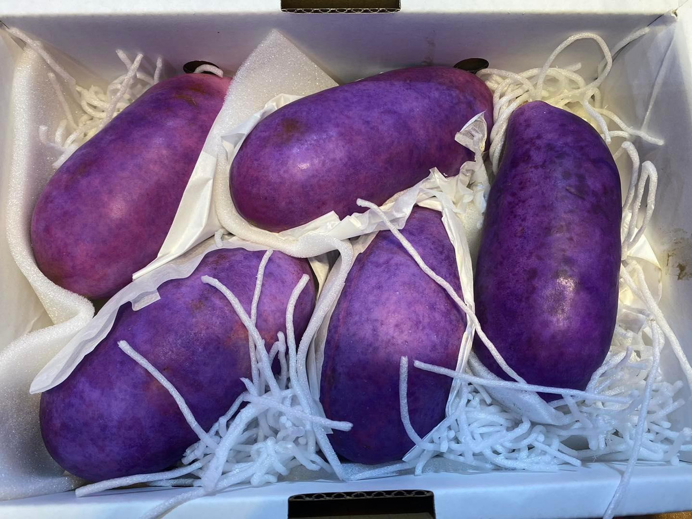 Nho tím hút mắt, quả to thuôn dài như trái xoài. Nho tím hút mắt, quả to thuôn dài như trái xoài.