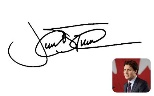 Chữ ký tiết lộ gì về tính cách Putin, Obama và Trump ảnh 7