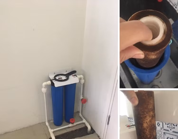 Nước sinh hoạt ở chung cư Hà Nội đen kịt, có côn trùng ảnh 2