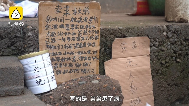 Cậu bé dành cả tuổi thơ bán hành, hiến tủy cứu em trai mắc bệnh thiếu máu ảnh 1