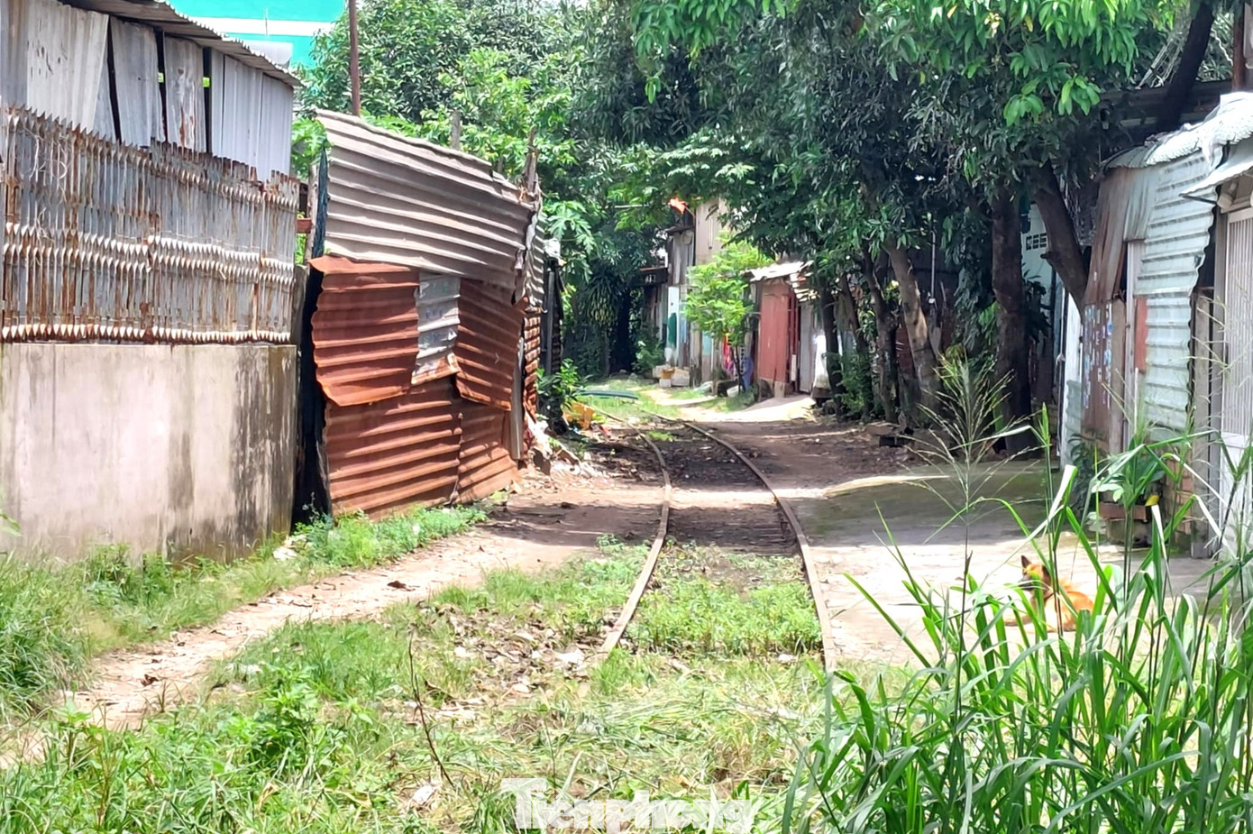 Quyết định 509 bị thu hồi liên quan việc cho phép công ty TNHH Phát triển Nhà xe lửa Dĩ An chuyển mục đích sử dụng đất để thực hiện dự án Khu nhà ở thương mại đường sắt mở rộng, điều chỉnh mục đích sử dụng đất để thực hiện dự án Khu nhà ở thương mại đường sắt hiện hữu thuộc phường Dĩ An, TP Dĩ An. Lý do thu hồi để phối hợp cùng các cơ quan chức năng rà soát lại các nội dung liên quan đến việc đầu tư dự án theo ý kiến của các bộ, ngành Trung ương và quy định của pháp luật.