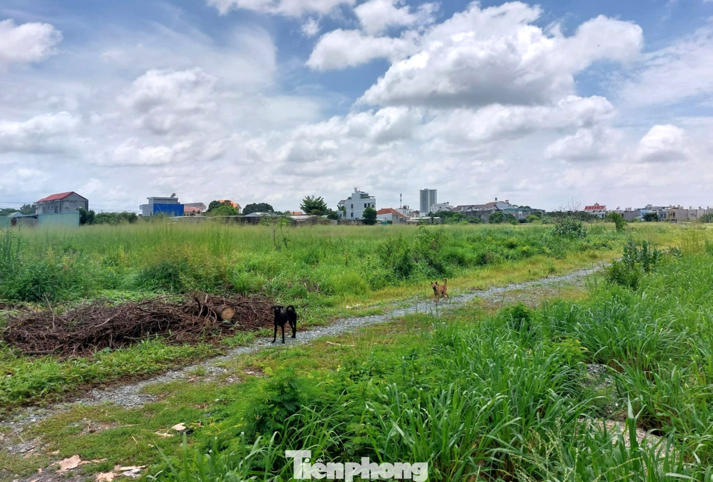 Đầu năm 2015, ĐSVN thoái toàn bộ vốn tại Công ty Vật tư đường sắt Sài Gòn. Sau khi thoái hết vốn Nhà nước, đến giữa năm 2015, 4 tuyến đường ray được tháo dỡ, biến khu đất này thành dãy nền nhà mặt tiền đường Lý Thường Kiệt (phường Dĩ An, TP Dĩ An). Khu đất sau khi tháo dỡ đường ray có tổng diện tích 47.882,8m2 nằm liền kề khu 63.080m2.