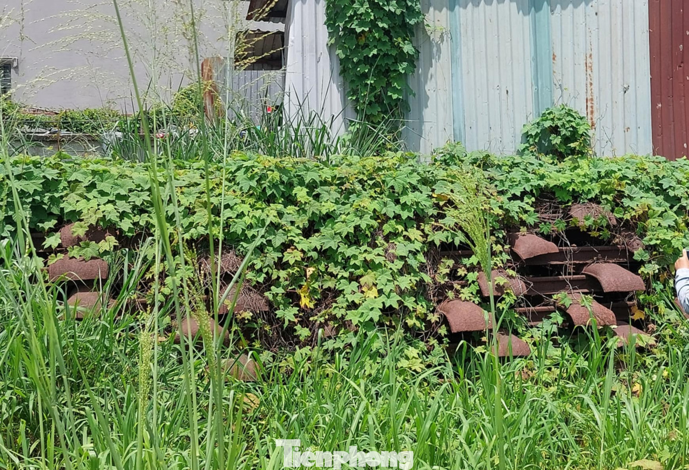 Đường ray bị tháo dỡ để làm dự án khu nhà ở