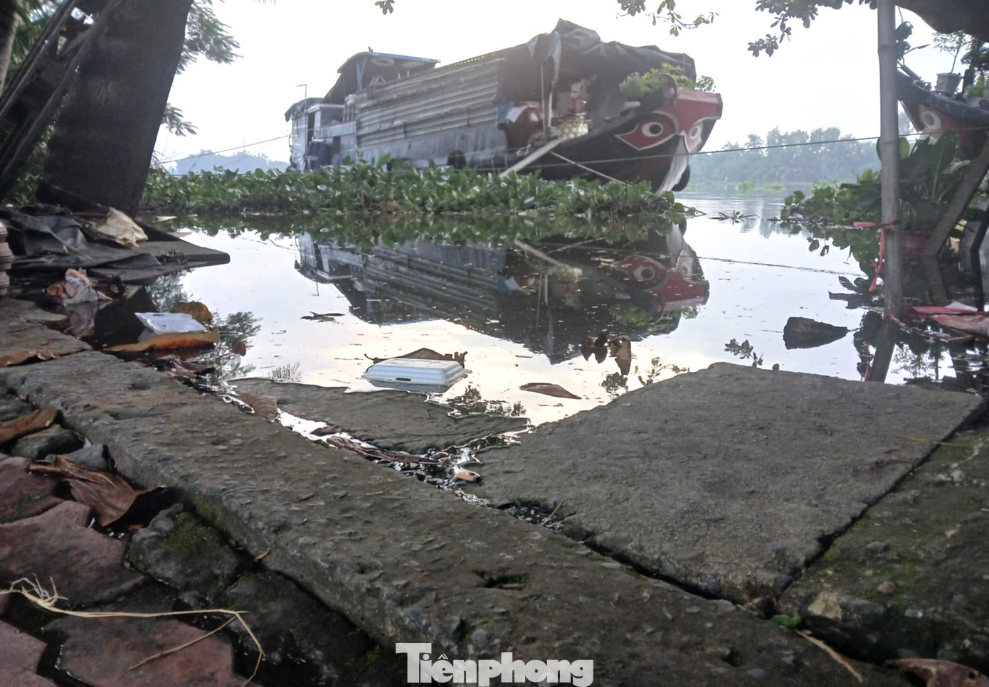 Nước sông Sài Gòn dâng cao tràn qua bờ Nước sông Sài Gòn dâng cao tràn qua bờ