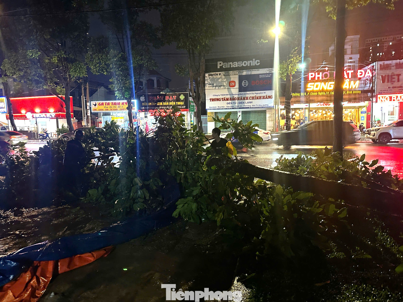 Cây xanh trên đường 30 tháng 4 TP Thủ Dầu Một bị gãy đổ