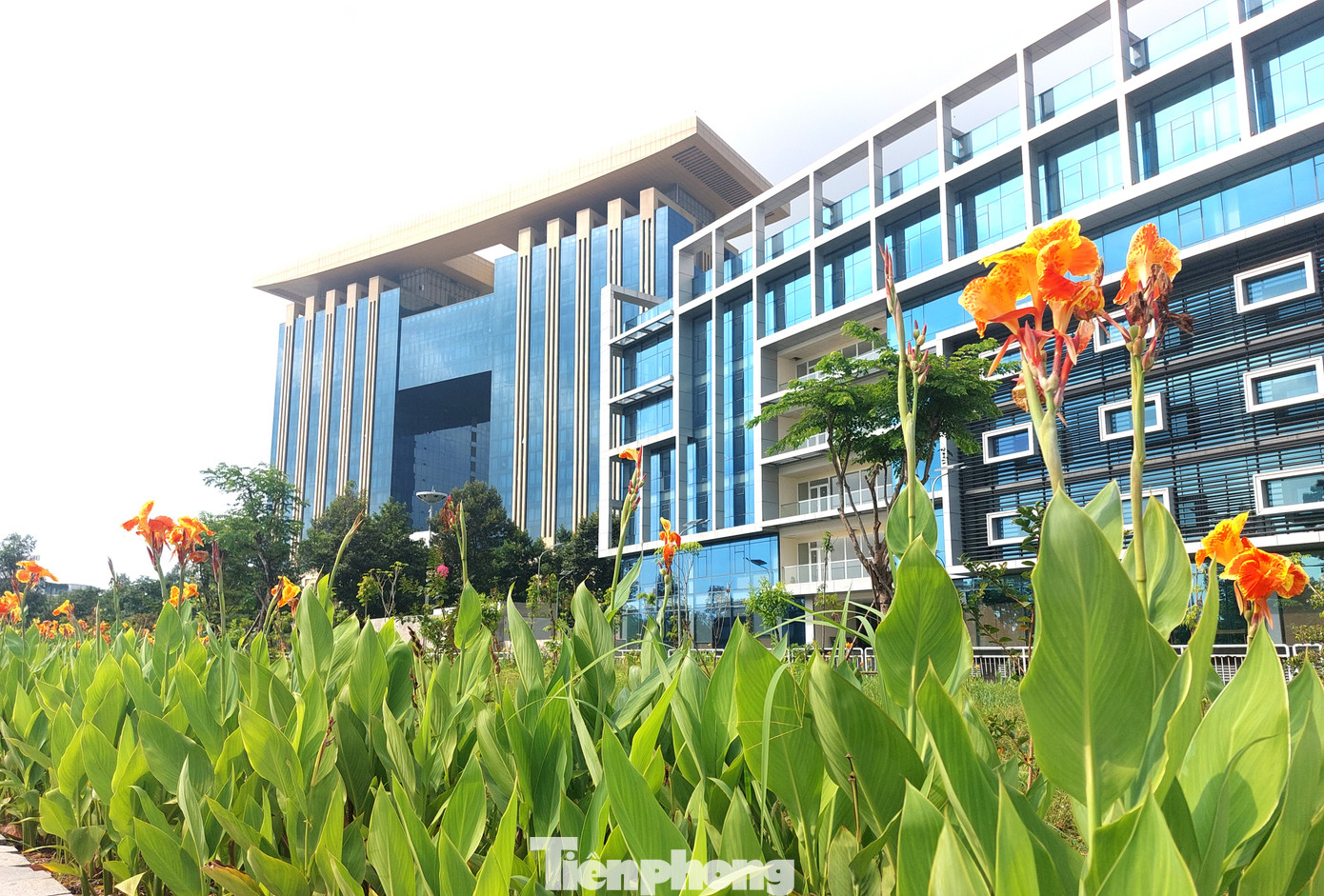 Đại diện UBND tỉnh Bình Dương cho biết, thành phố Thủ Dầu Một đang triển khai thực hiện Quyết định của Thủ tướng Chính phủ về quy hoạch tỉnh Bình Dương thời kỳ 2021 - 2030, tầm nhìn đến 2050 và Công văn số 2229 của UBND tỉnh về việc chấp thuận chủ trương điều chỉnh quy hoạch sử dụng đất cấp huyện.