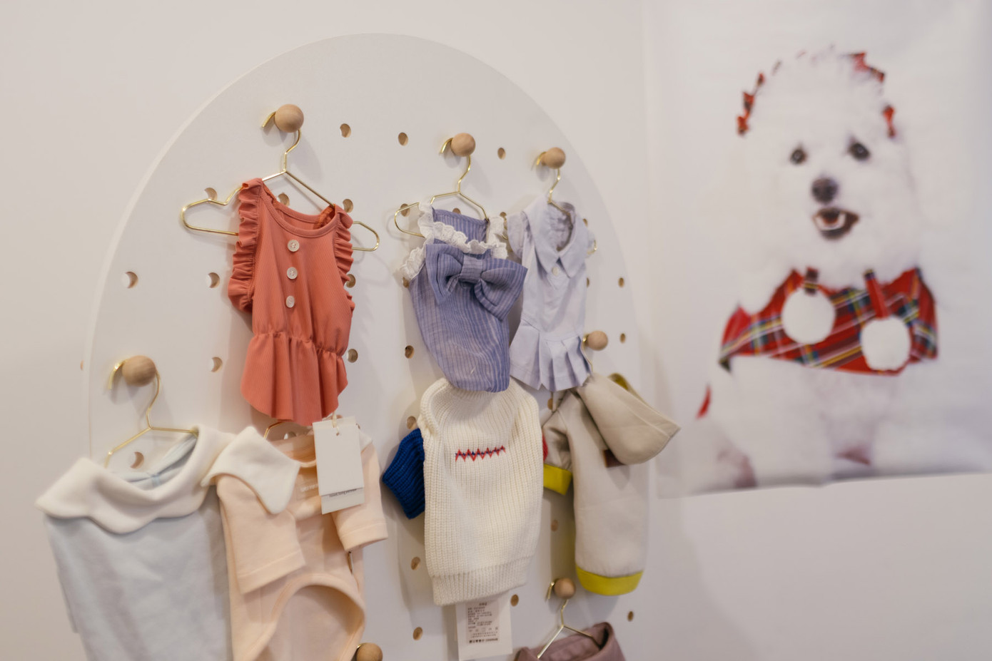 Những sản phẩm váy áo cho thú cưng được bày bán tại công ty của Lu ở Thượng Hải. Những sản phẩm váy áo cho thú cưng được bày bán tại công ty của Lu ở Thượng Hải.