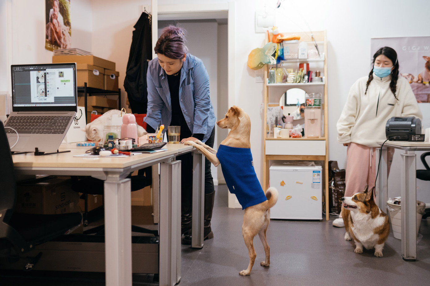 Lu Yangyang và các khách hàng thú cưng tại cửa tiệm ở Thượng Hải. Lu Yangyang và các khách hàng thú cưng tại cửa tiệm ở Thượng Hải.