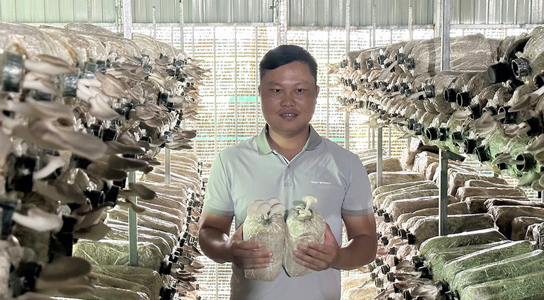 Nguyễn Thanh Long mỗi năm thu nhập tiền tỷ từ trồng nấm, điện mặt trời, sân bóng mini Nguyễn Thanh Long mỗi năm thu nhập tiền tỷ từ trồng nấm, điện mặt trời, sân bóng mini