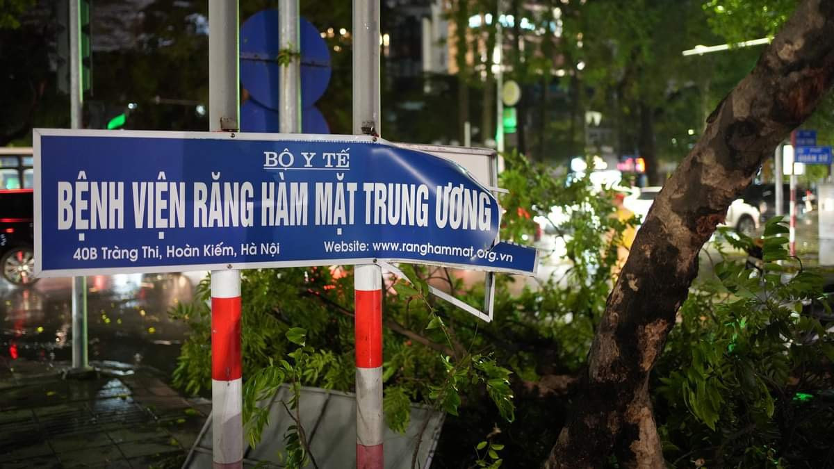 Cây đổ, chắn ngang biển chỉ dẫn Bệnh viện Răng hàm mặt Trung ương.