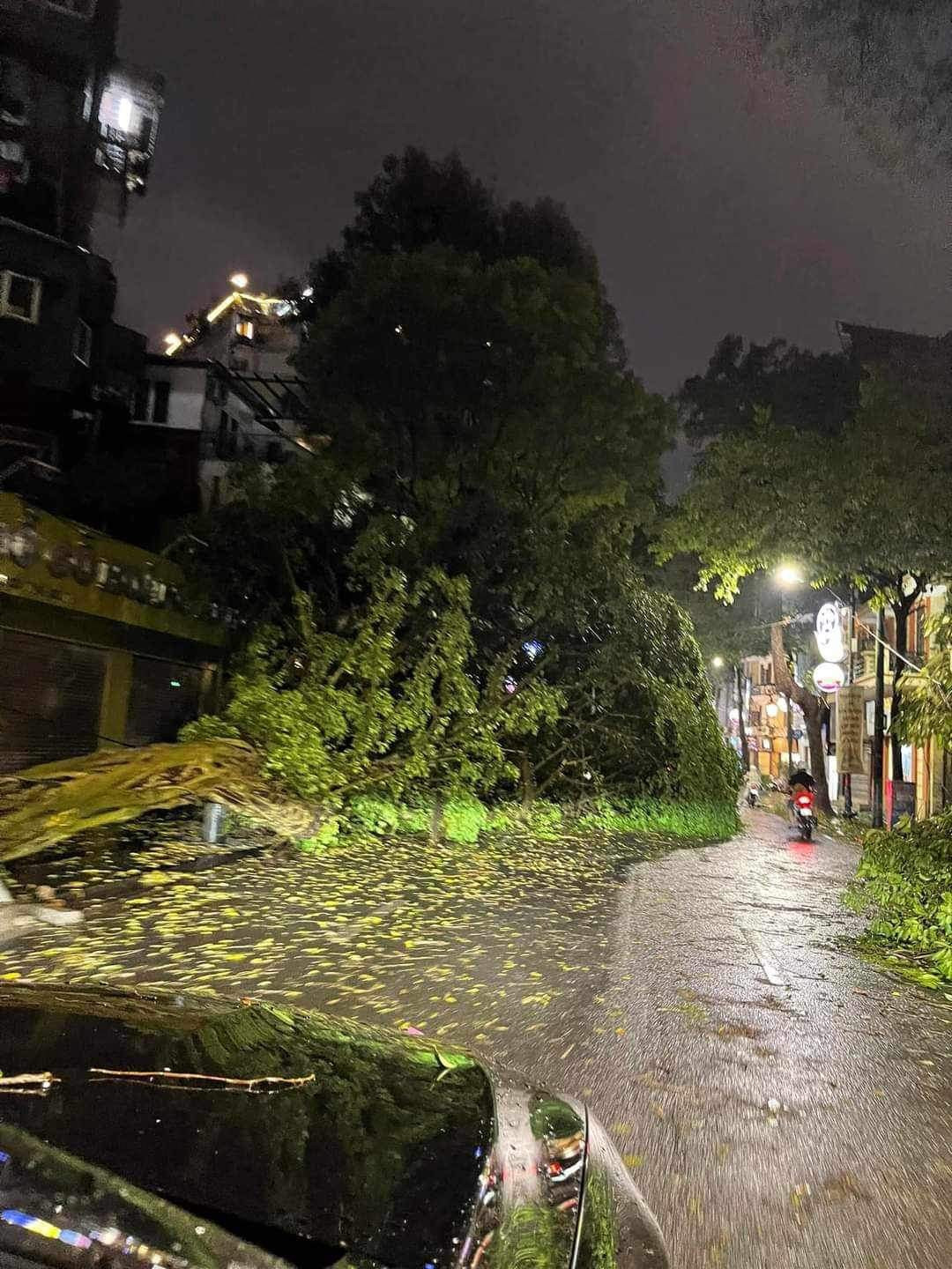 Đường Tràng Thi ngổn ngang sau trận mưa dông.