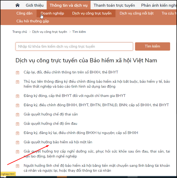 Danh mục các dịch vụ công BHXH Việt Nam liên thông trên Cổng dịch vụ công quốc gia, trong đó có đăng ký nhận BHXH một lần.