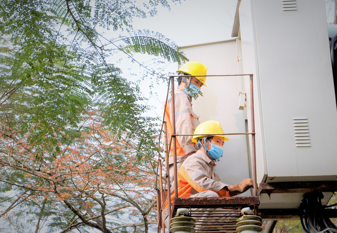 Công nhân Điện lực Thanh Hoá thực hiện nhiệm vụ Công nhân Điện lực Thanh Hoá thực hiện nhiệm vụ
