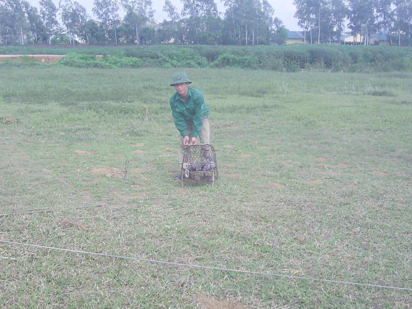 Anh Quán chuẩn bị giăng bẫy