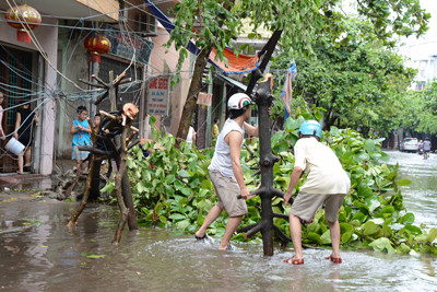 Nam Định tan hoang sau bão số 1 ảnh 6