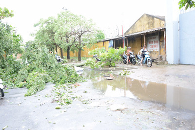 Nam Định tan hoang sau bão số 1 ảnh 3