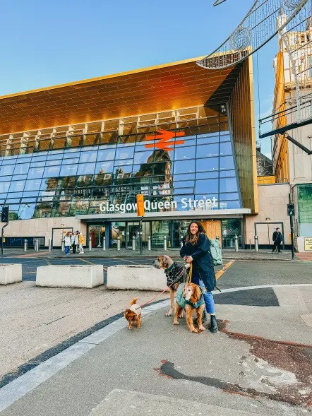 Ba chó cưng được chủ dắt đi thăm thú đường phố Glasgow, Scotland.