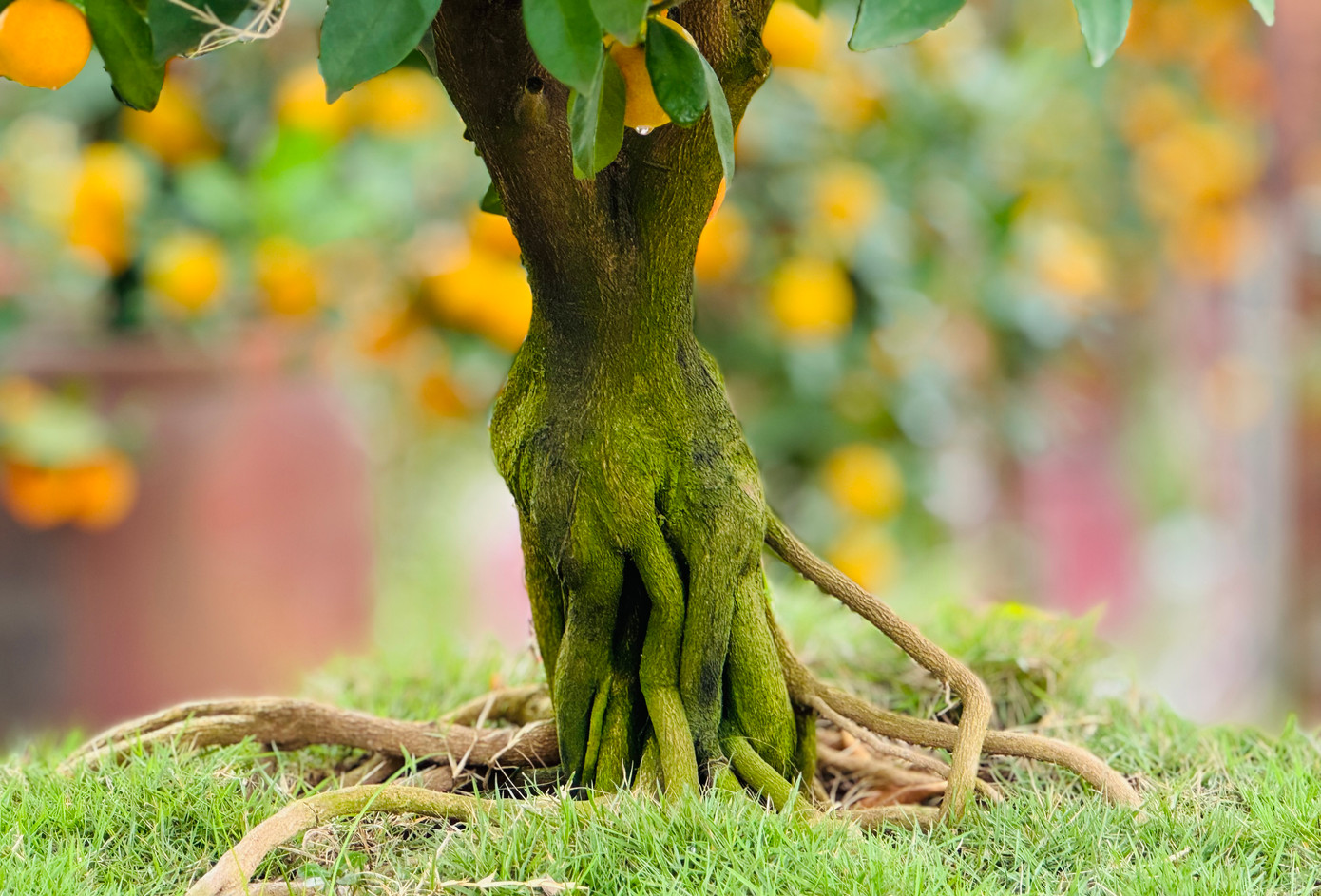 Tùy vào bộ rễ mà các nghệ nhân sẽ tạo hình khác nhau.