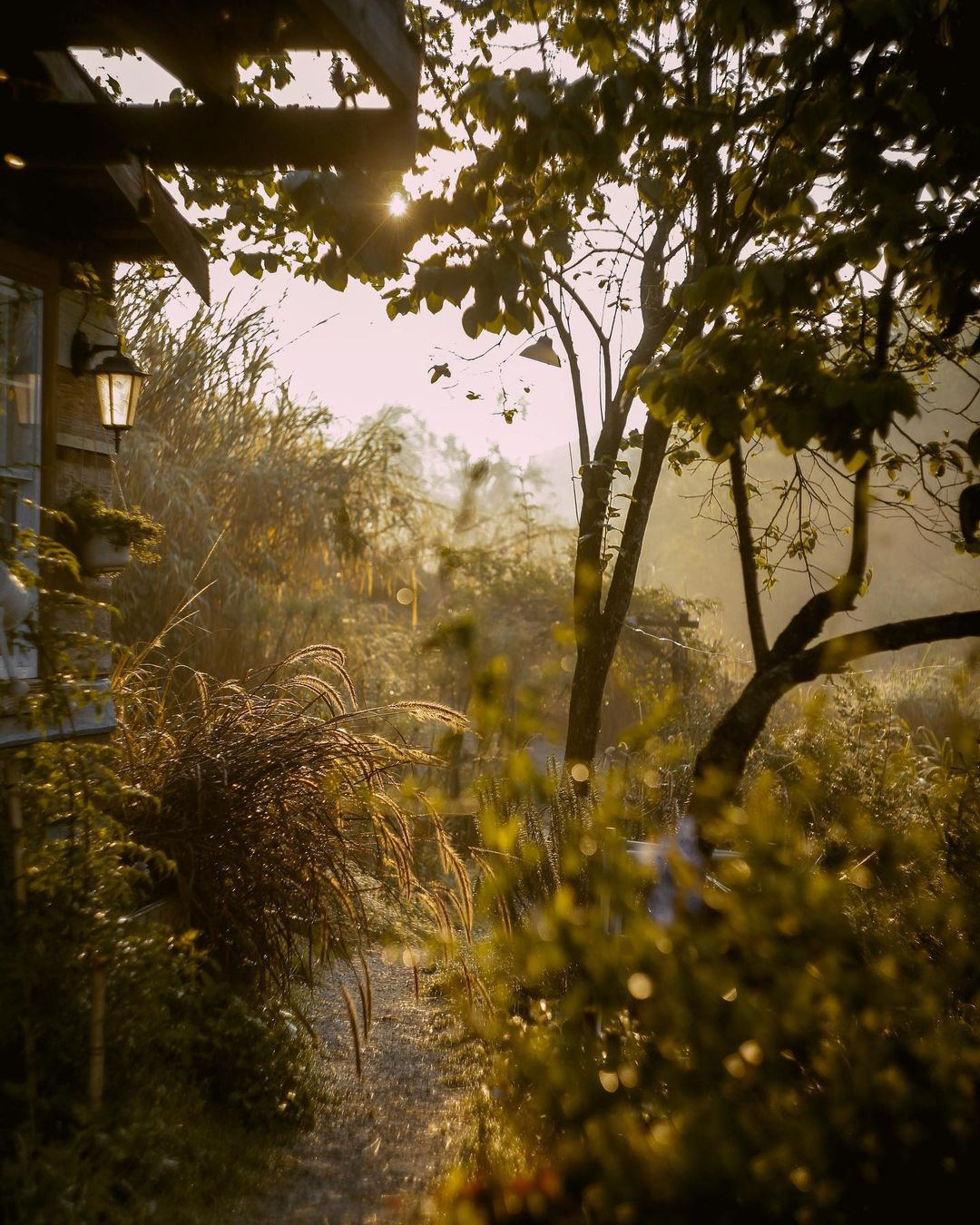 Ảnh: @ngoinha_mong Ảnh: @ngoinha_mong