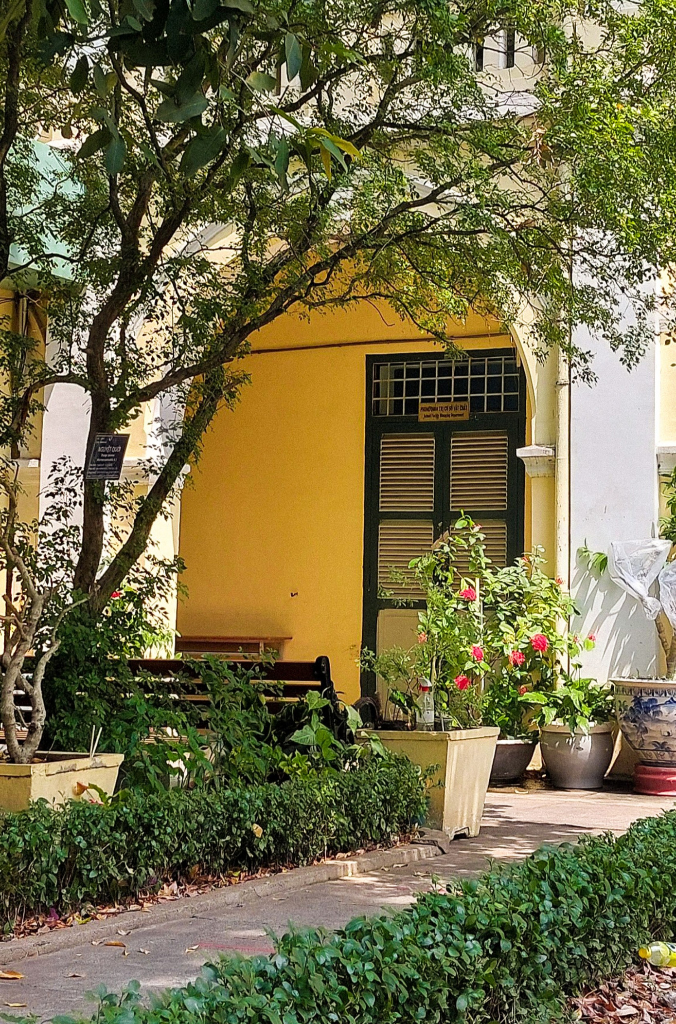 "Khu vườn bí mật" ở một góc sân. Ảnh: Nhân vật cung cấp