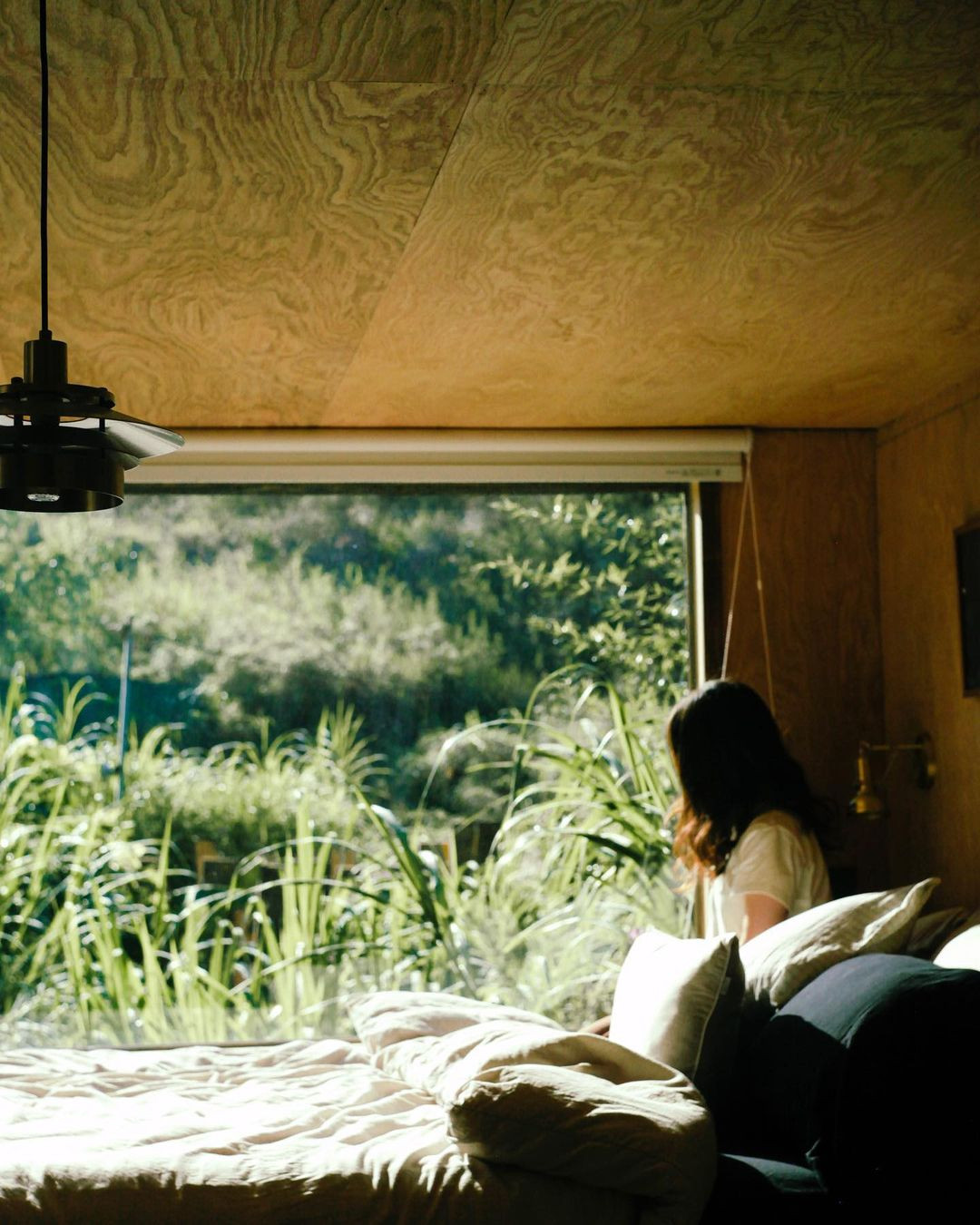 Ảnh: @rongdalat Ảnh: @rongdalat