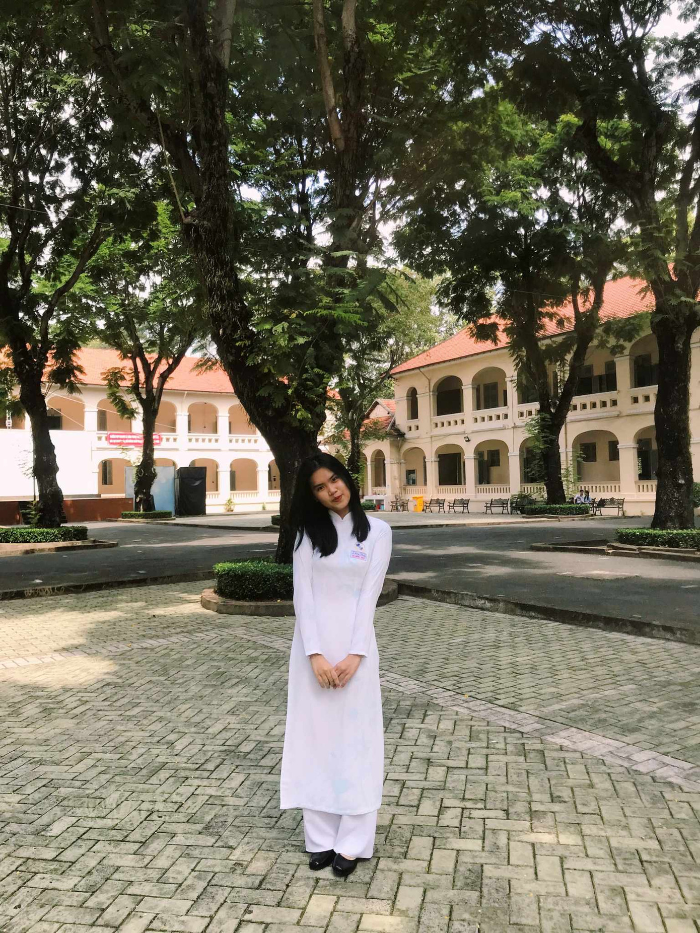 Ảnh chụp mùa Hè khi nắng vàng, tán lá xanh dịu mát. Ảnh: Ánh Dương