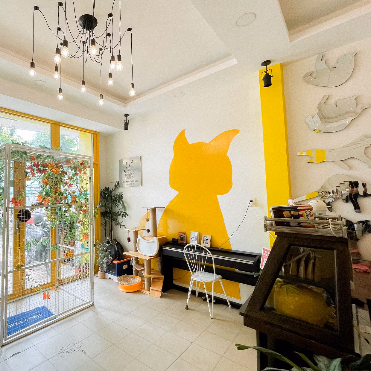 (Ảnh: The Meow House)