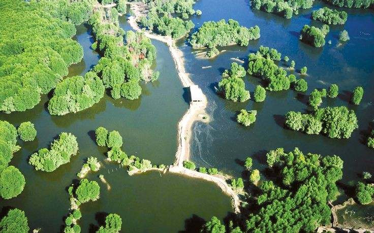 Phong cảnh "chuyển màu" nhìn từ trên xuống. Ảnh: Internet