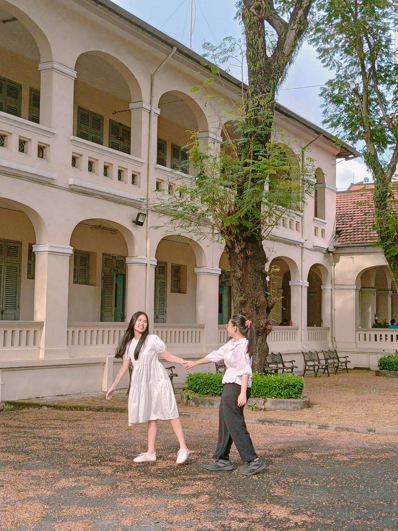 Khi mùa Thu lá rụng, sân trường luôn là địa điểm check-in "over hợp". Ảnh: Ánh Dương