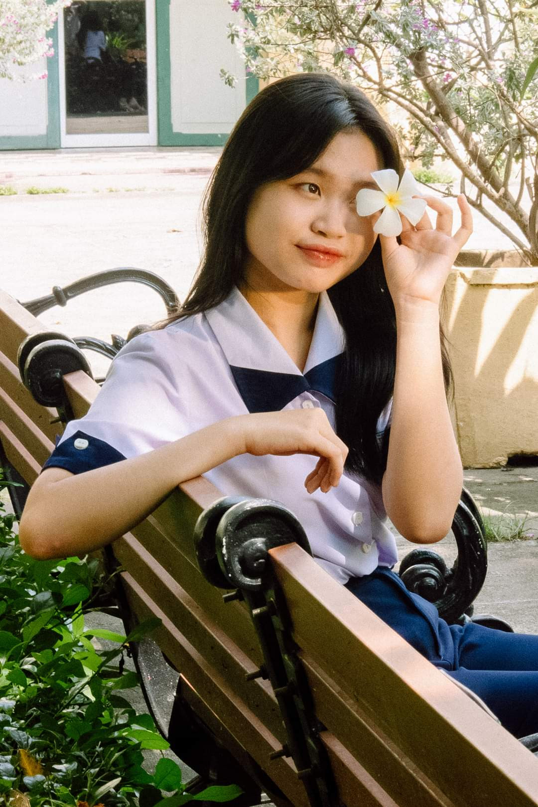 Hàng ghế gỗ nâu trầm và bông hoa sứ đẹp xỉu. Ảnh: Mô lì đi chụp. Người mẫu: Minh Châu