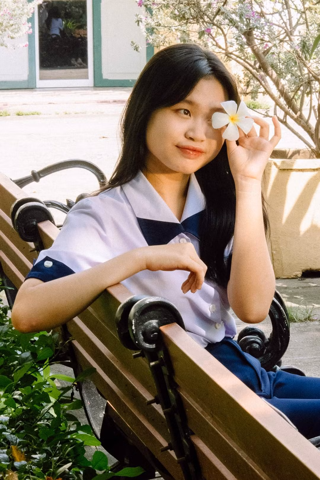 Hàng ghế gỗ nâu trầm và bông hoa sứ đẹp xỉu. Ảnh: Mô lì đi chụp. Người mẫu: Minh Châu Hàng ghế gỗ nâu trầm và bông hoa sứ đẹp xỉu. Ảnh: Mô lì đi chụp. Người mẫu: Minh Châu