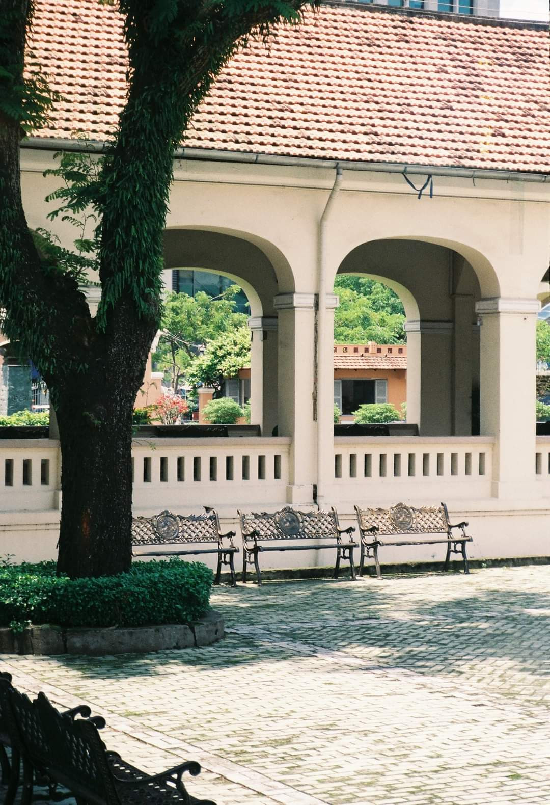 Những chiếc ghế đẹp mắt được đặt khắp nơi trong sân trường đầy nắng. Ảnh: Thanh Vy