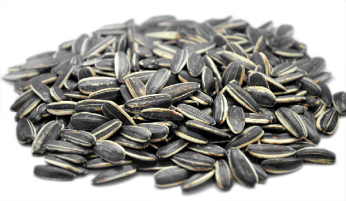 Ảnh:chineseasparagus.com sunflower-seeds-9831-1392090834.jpg