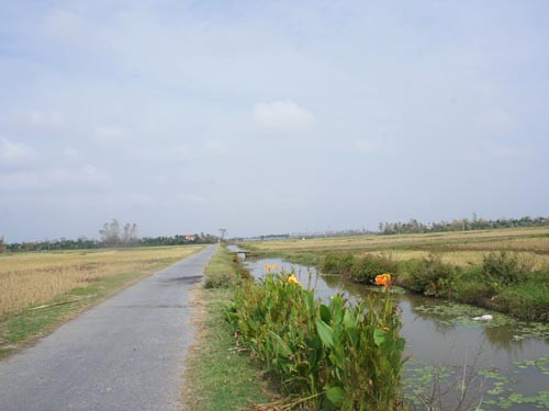 Đoạn đường vắng - nơi các nữ sinh tố cáo bị nam thanh niên giở trò đồi bại. Đoạn đường vắng - nơi các nữ sinh tố cáo bị nam thanh niên giở trò đồi bại