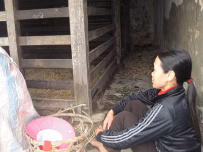 Người chăn nuôi buồn bã bên chiếc chuồng trống không