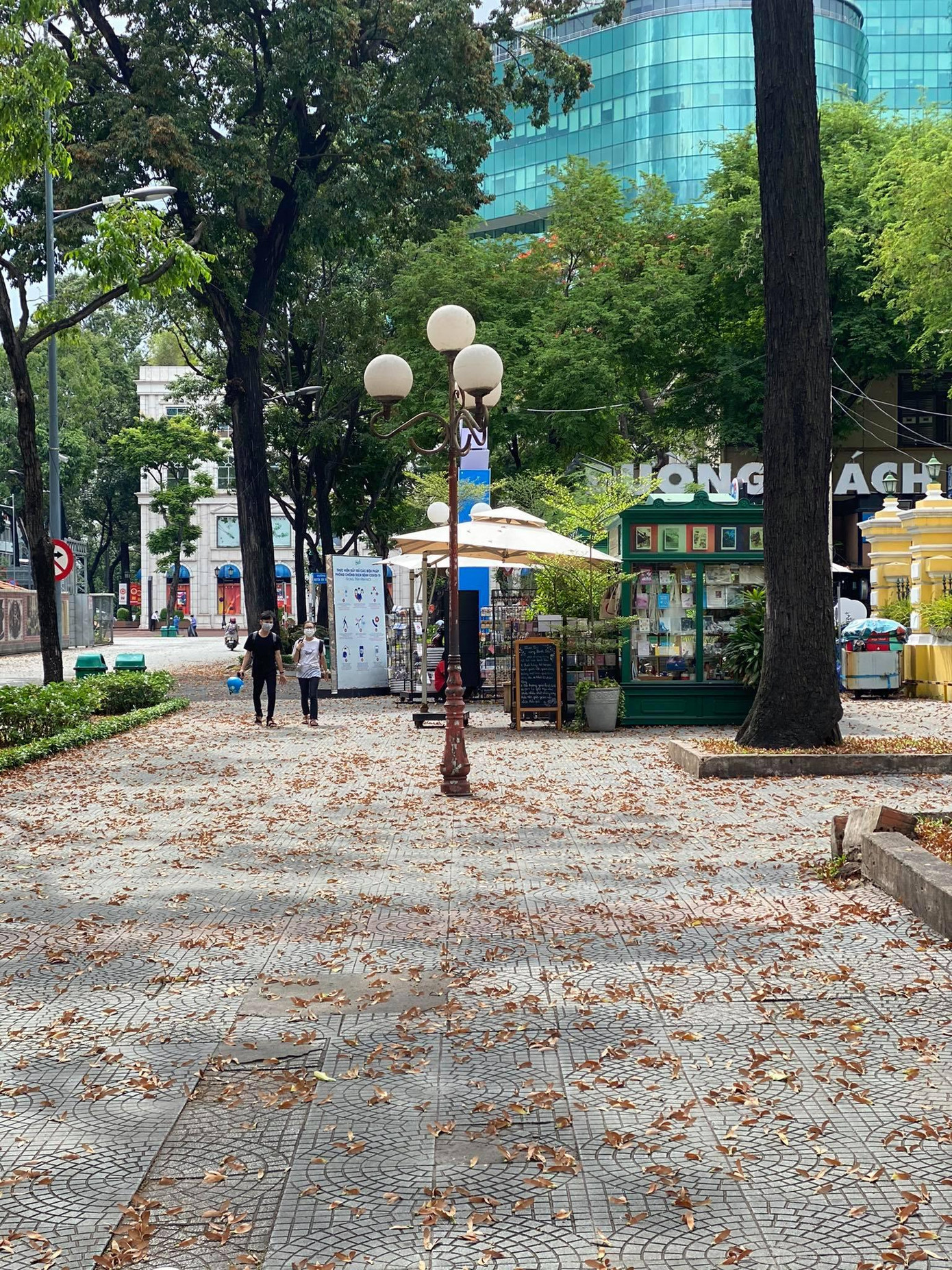 Đường phố Sài Gòn mùa này ngập trong những cánh hoa dầu.