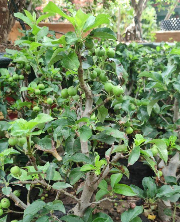 Cuộc thi mang nhiều ý nghĩa trong thời gian giãn cách xã hội. Cuộc thi mang nhiều ý nghĩa trong thời gian giãn cách xã hội.