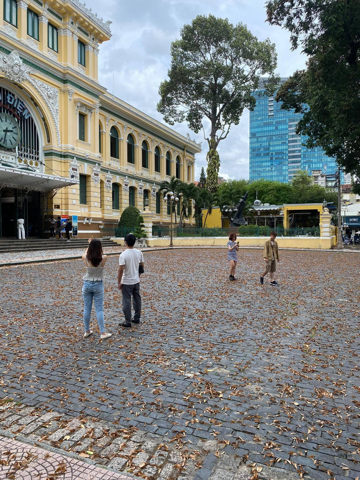 Khu vực trước Bưu điện thành phố nên thơ với những cánh thầu dầu phủ kín.