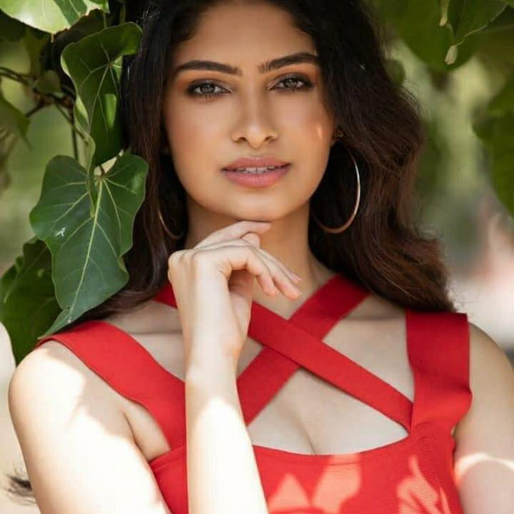 Manasa Varanasi cao 1,76m, năm nay 23 tuổi. Tân hoa hậu tốt nghiệp ngành Khoa học máy tính ở Trường cao đẳng Kỹ thuật Vasavi (Vasavi College of Engineering), Ấn Độ và hiện đang là kỹ sư. Cô được đánh giá là có vóc dáng chuẩn, quyến rũ cùng gương mặt thanh thuần đúng chuẩn Miss World.