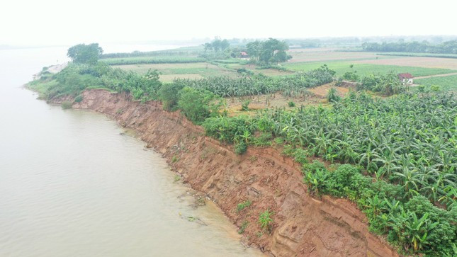 Ảnh minh họa Ảnh minh họa