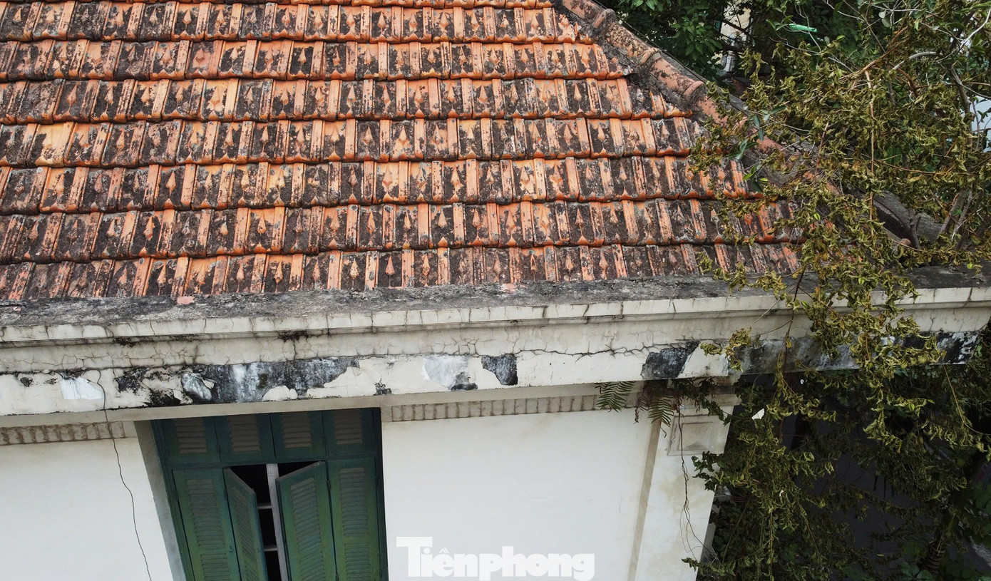 Tuy nhiên do nhiều vướng mắc, đến nay biệt thự này vẫn bỏ hoang, xuống cấp theo thời gian.