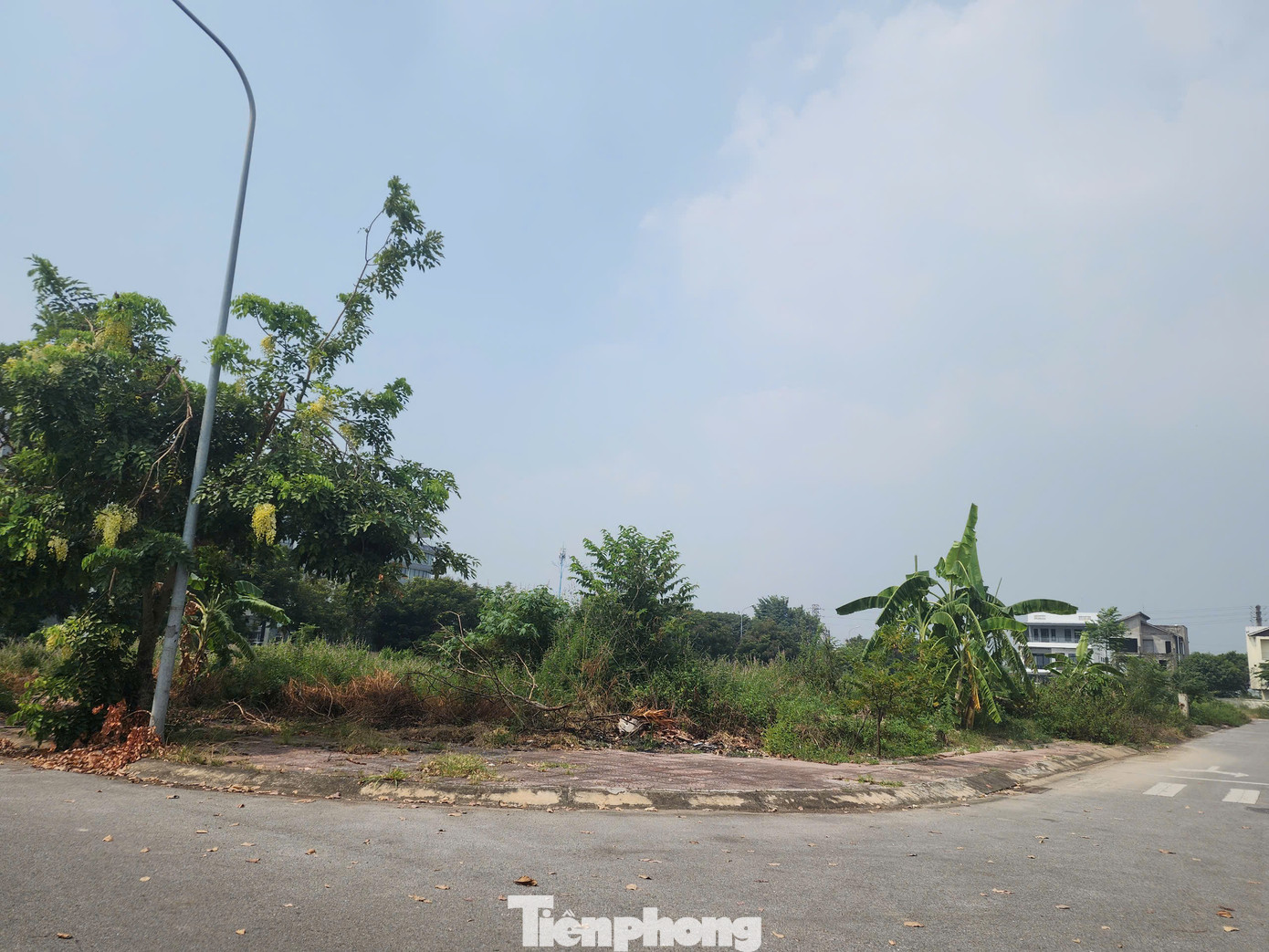 Nhiều dự án chỉ là những bãi đất trống. Đơn cử như Khu đô thị mới Nam Vĩnh Yên do Tổng CTCP Đầu tư Phát triển Xây dựng (DIC Corp) hiện vẫn là những bãi đất trống. Trong khi đó các dãy liền kề đều đã được xây dựng, tuy nhiên vẫn còn nhiều căn chưa hoàn thiện do không có người ở.