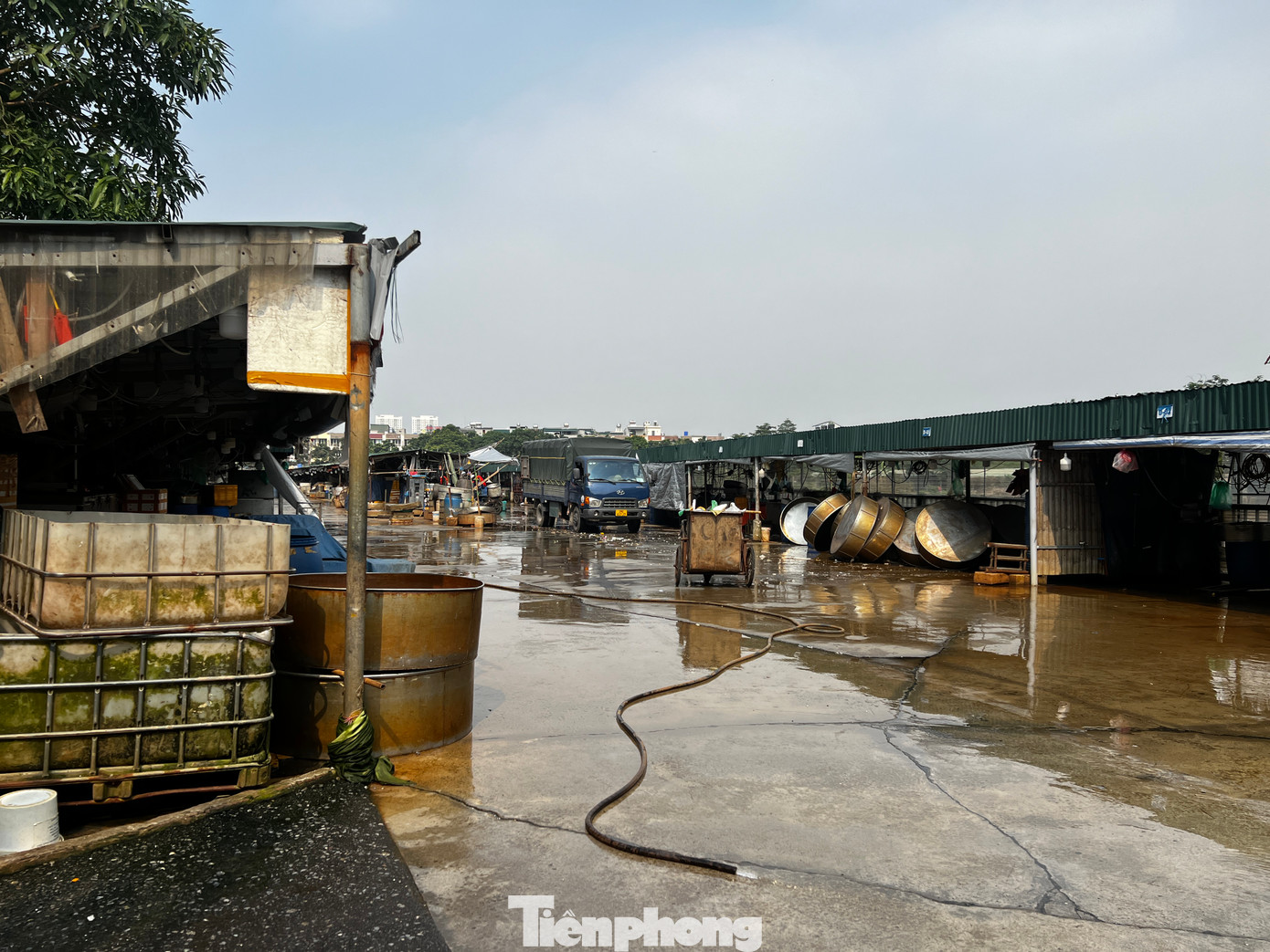 Chợ La Khê vốn chỉ được quy hoạch là chợ hạng 3, là chợ có dưới 200 điểm kinh doanh, chủ yếu phục vụ nhu cầu mua bán hàng hóa của nhân dân trong xã, phường và địa bàn phụ cận. Việc chuyển thành chợ 'đầu mối' khiến hoạt động buôn bán rầm rộ, xe chở hàng cỡ lớn hoạt động thường xuyên vào ban đêm đã gây ảnh hưởng lớn đến cuộc sống của người dân xung quanh.