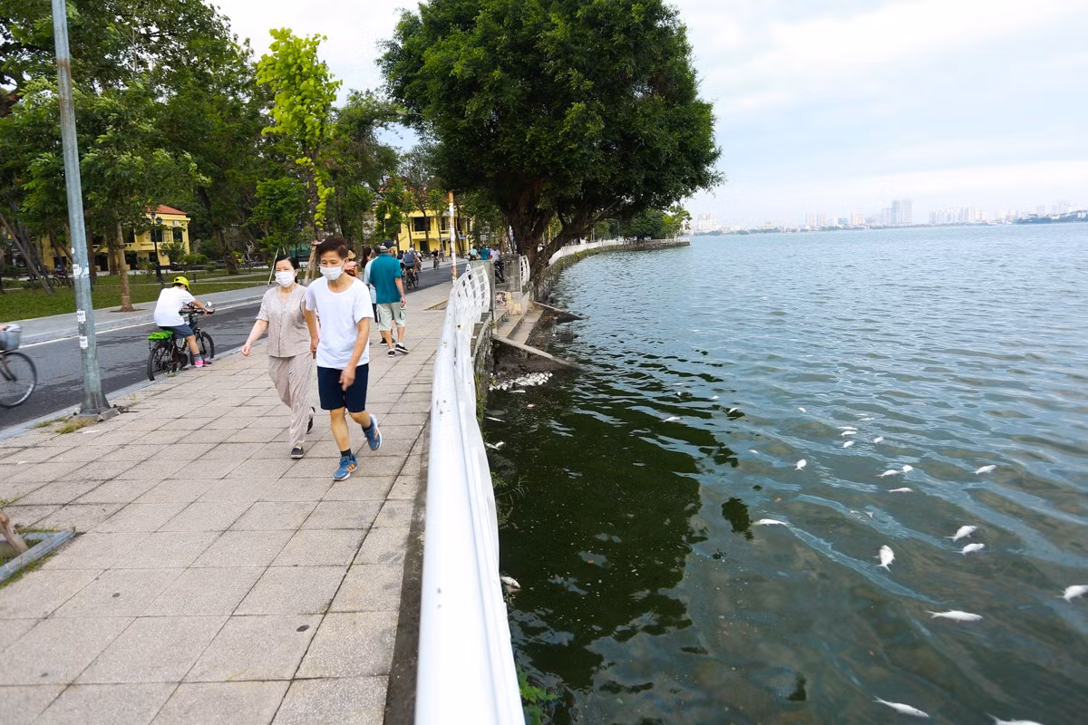 Dự án Nạo vét hồ Tây có từ tháng 10/2018 đến nay vẫn "treo" Dự án Nạo vét hồ Tây có từ tháng 10/2018 đến nay vẫn "treo"