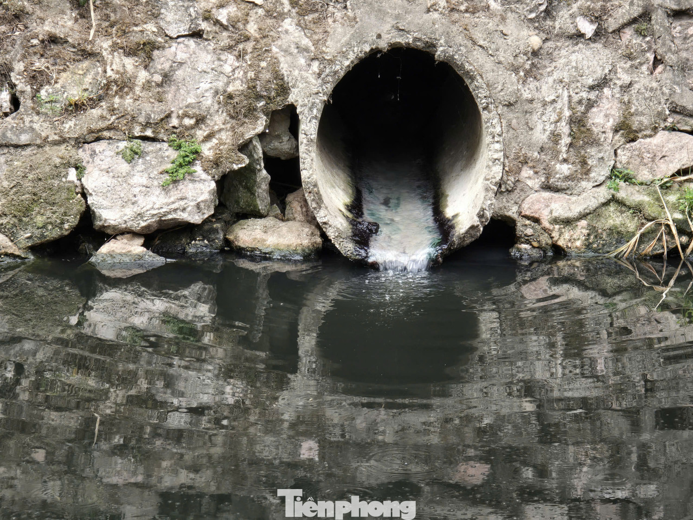 Theo đại diện UBND quận Ba Đình, hiện tại toàn bộ bán đảo Ngũ Xã không có hệ thống xử lý nước thải. Đến quý I/2025, quận sẽ triển khai dự án thu gom nước thải tại đây. Các bước thủ tục đã hoàn tất, nước thải sẽ được thu gom rồi đưa ra trạm xử lý tại phố Trấn Vũ - Nguyễn Trường Tộ, cuối cùng đưa vào hệ thống nước thải của thành phố.