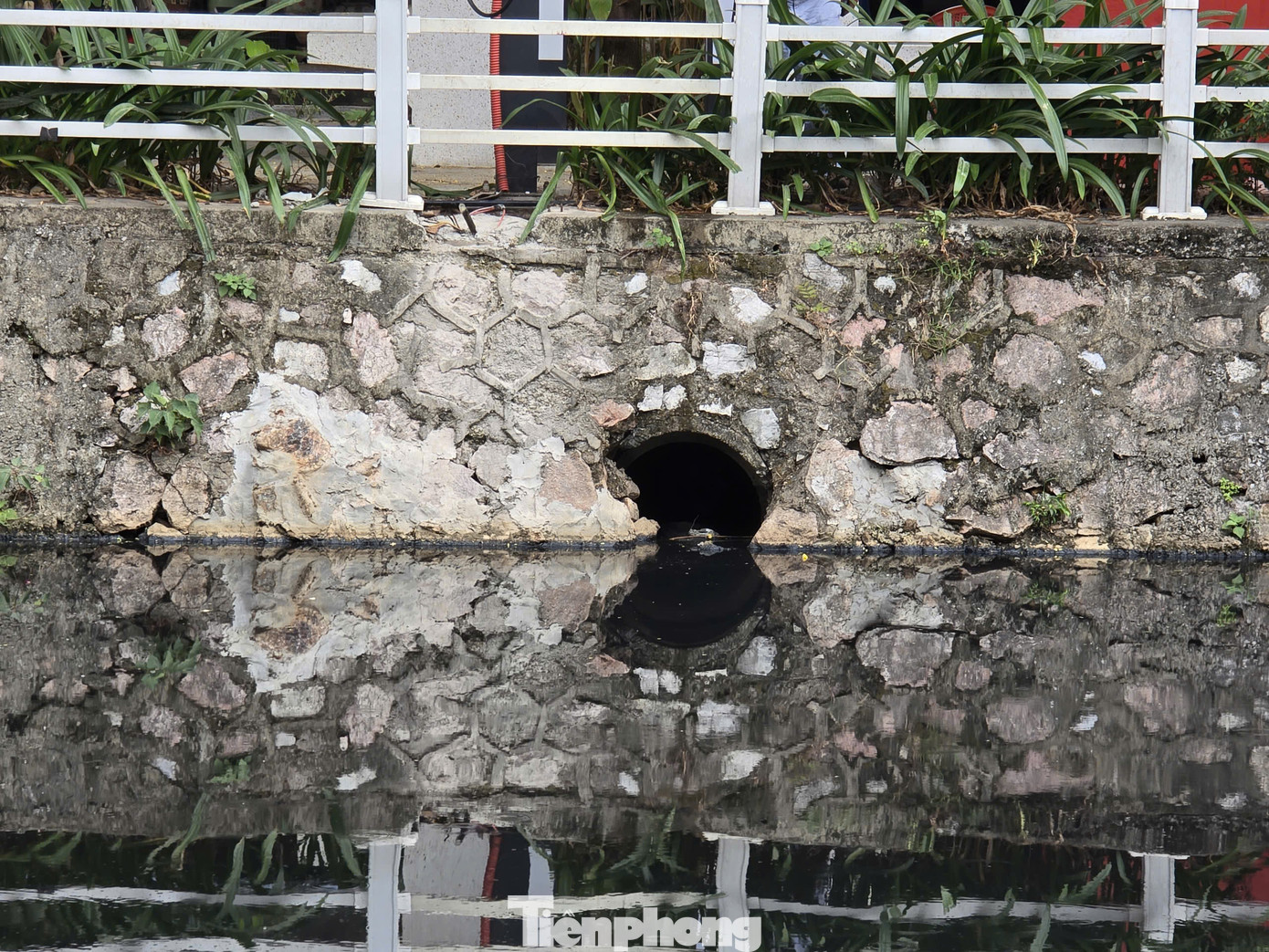 Mùi hôi thối ngày đêm khiến người dân vô cùng bức xúc, điều đáng ngại là mương nước này chảy thẳng ra hồ Trúc Bạch - một địa điểm du lịch nổi tiếng của Thủ đô.