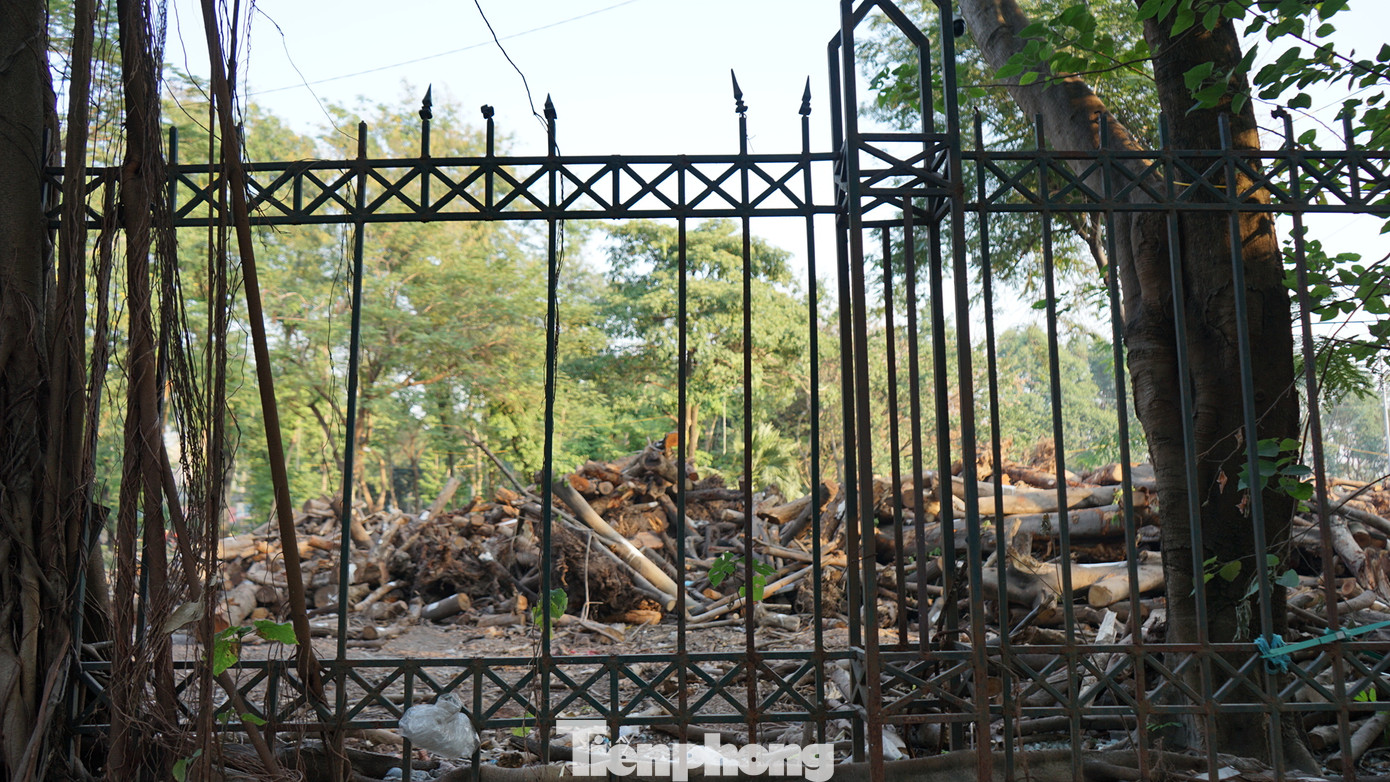 Dự kiến sau khi cải tạo vỉa hè, UBND quận Hai Bà Trưng tiếp tục cho hạ rào công viên Tuổi trẻ nhằm mang đến một công viên mở phục vụ người dân.