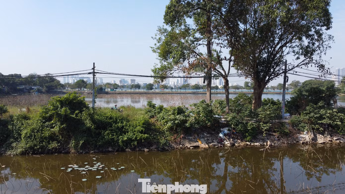 Đại diện chính quyền địa phương cho biết, thực hiện kết luận của Thanh tra Sở Tài nguyên và Môi trường Hà Nội, cơ quan chức năng đã rà soát các trường hợp vi phạm đất nông nghiệp tại đây. Từ đó đến nay không để phát sinh vi phạm mới tại khu vực quanh hồ Đầm Trị.