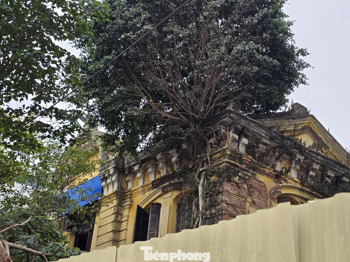 Ghi nhận tại biệt thự kiến trúc Pháp cổ tại số 107 Trần Hưng Đạo (quận Hoàn Kiếm, Hà Nội), căn biệt thự xuống cấp nghiêm trọng, hiện được quây rào toàn bộ.