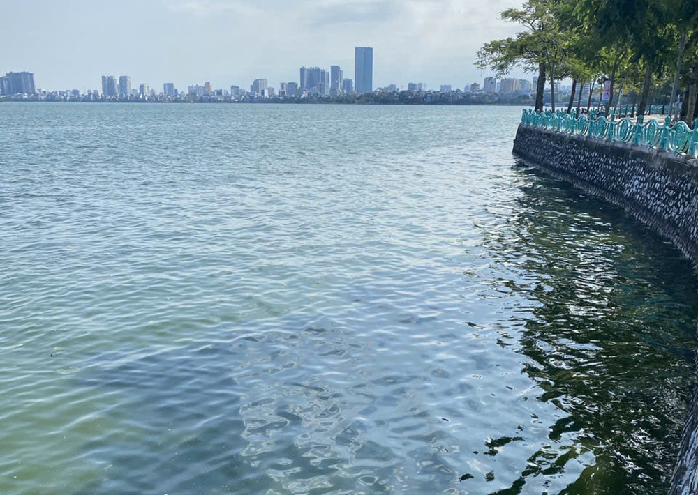 Các góc hồ đều được dọn dẹp, vớt toàn bộ cá chết tránh ảnh hưởng đến người dân Các góc hồ đều được dọn dẹp, vớt toàn bộ cá chết tránh ảnh hưởng đến người dân